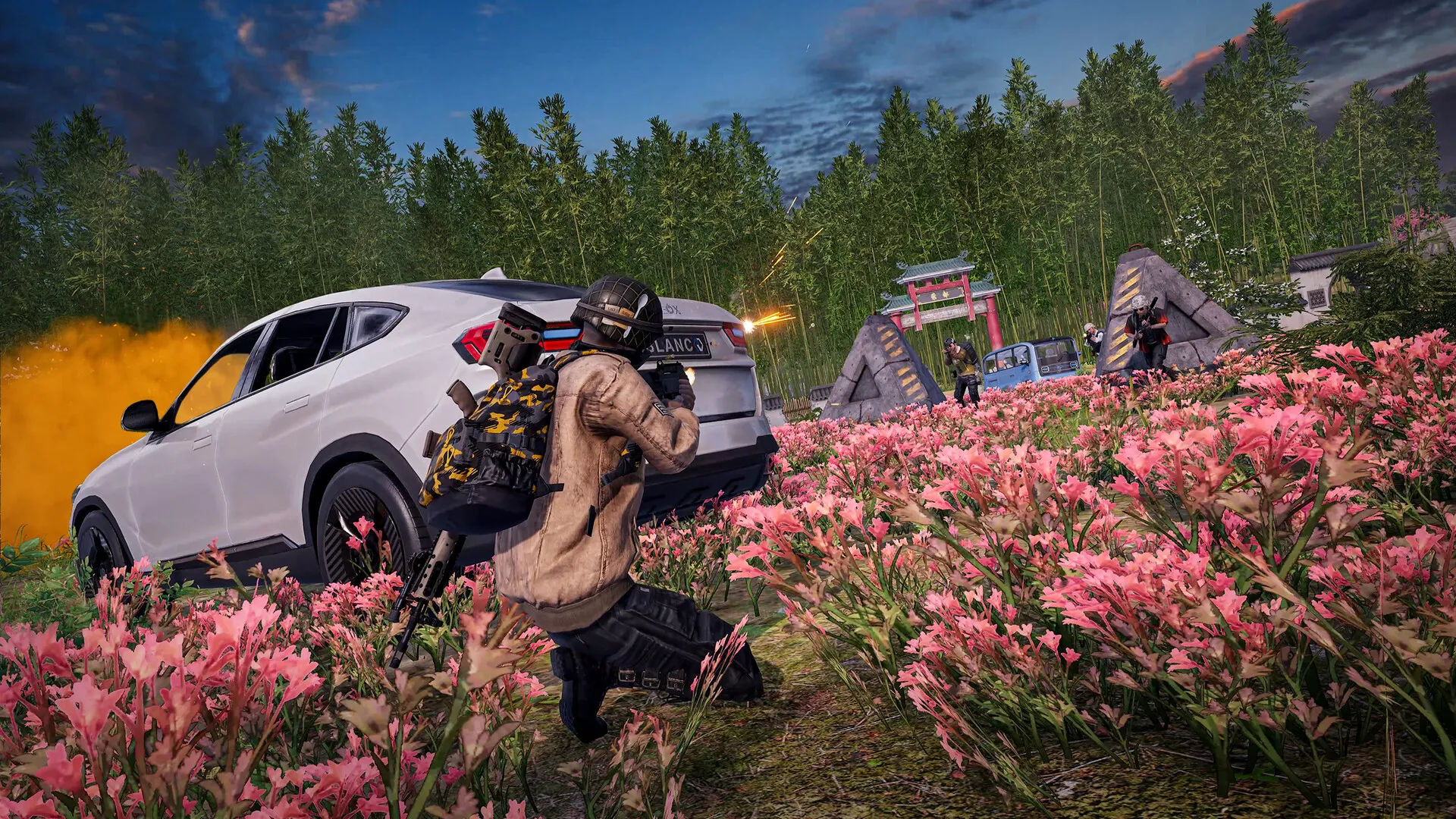 PUBG: BATTLEGROUNDS screenshot 4