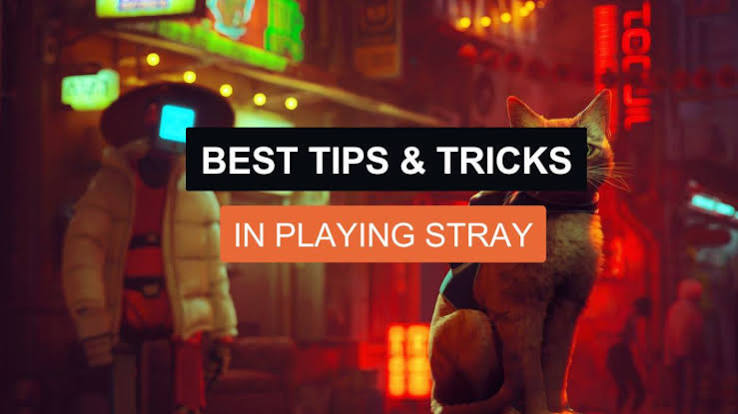 10 Pro Tips to Navigate the Cyberpunk Alleyways of Stray
