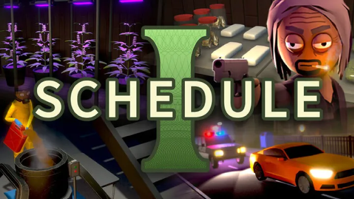 Schedule II: Understanding Controlled Substances and Their Implications