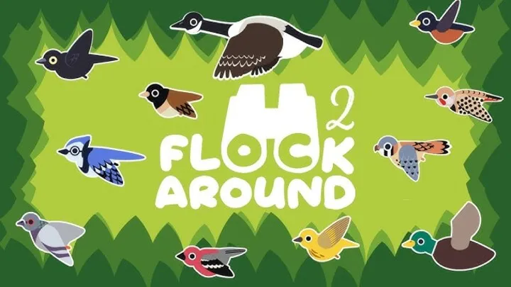 Flock Around – How to Capture Rare Birds and Master Advanced Wildlife Photography